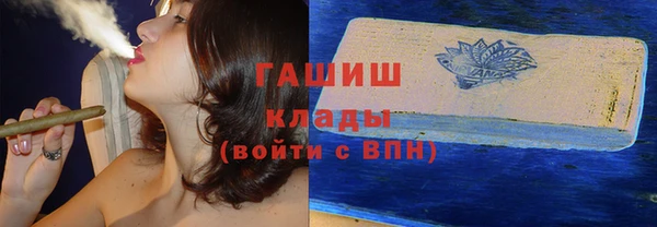 прущие грибы Вуктыл