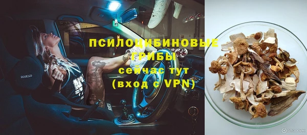 прущие грибы Вуктыл