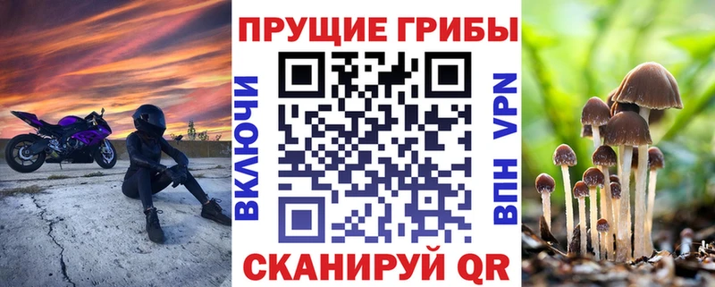 магазин продажи   Калач  Галлюциногенные грибы мицелий 